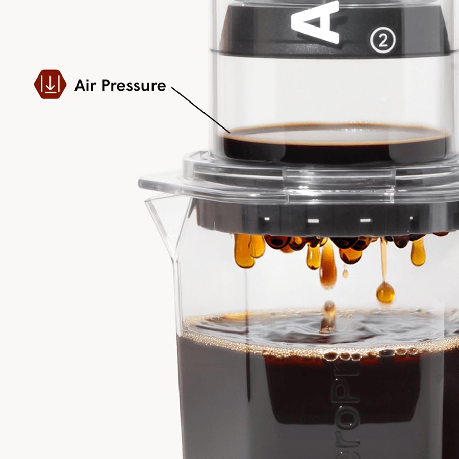 Barista Bundle - Clear XL - Image 4